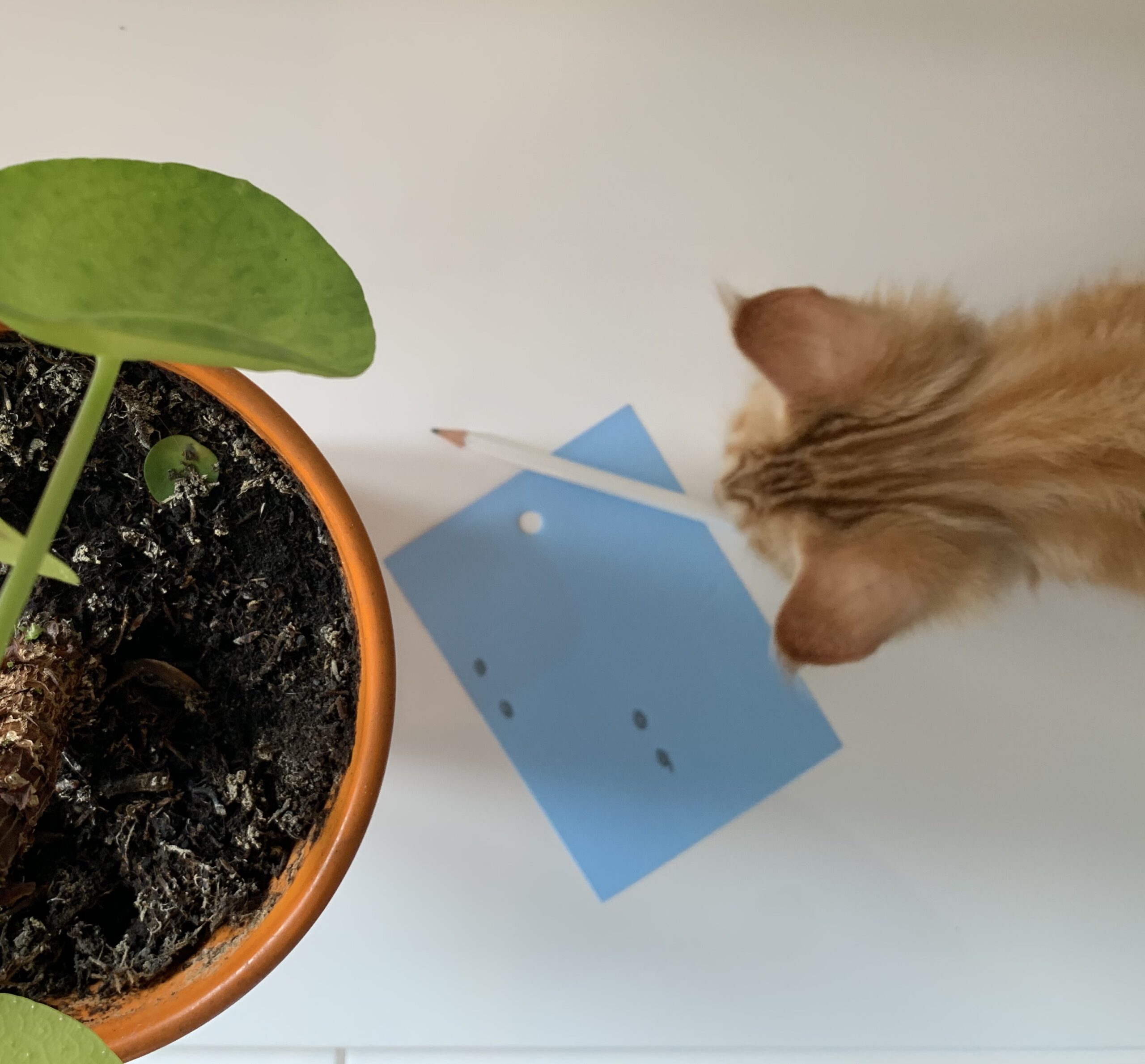 Hoe gebruik je opsommingstekens? Dubbele punt of puntkomma? Sterke Verhalen Hoe gebruik je opsommingstekens? Dubbele punt of puntkomma? Sterke Verhalen